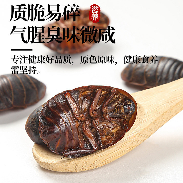 Tu Yuan Dried Ground Beetle 土元 Whole Insect TCM Herb 500g Traditional Decoction Ingredient - Image 3