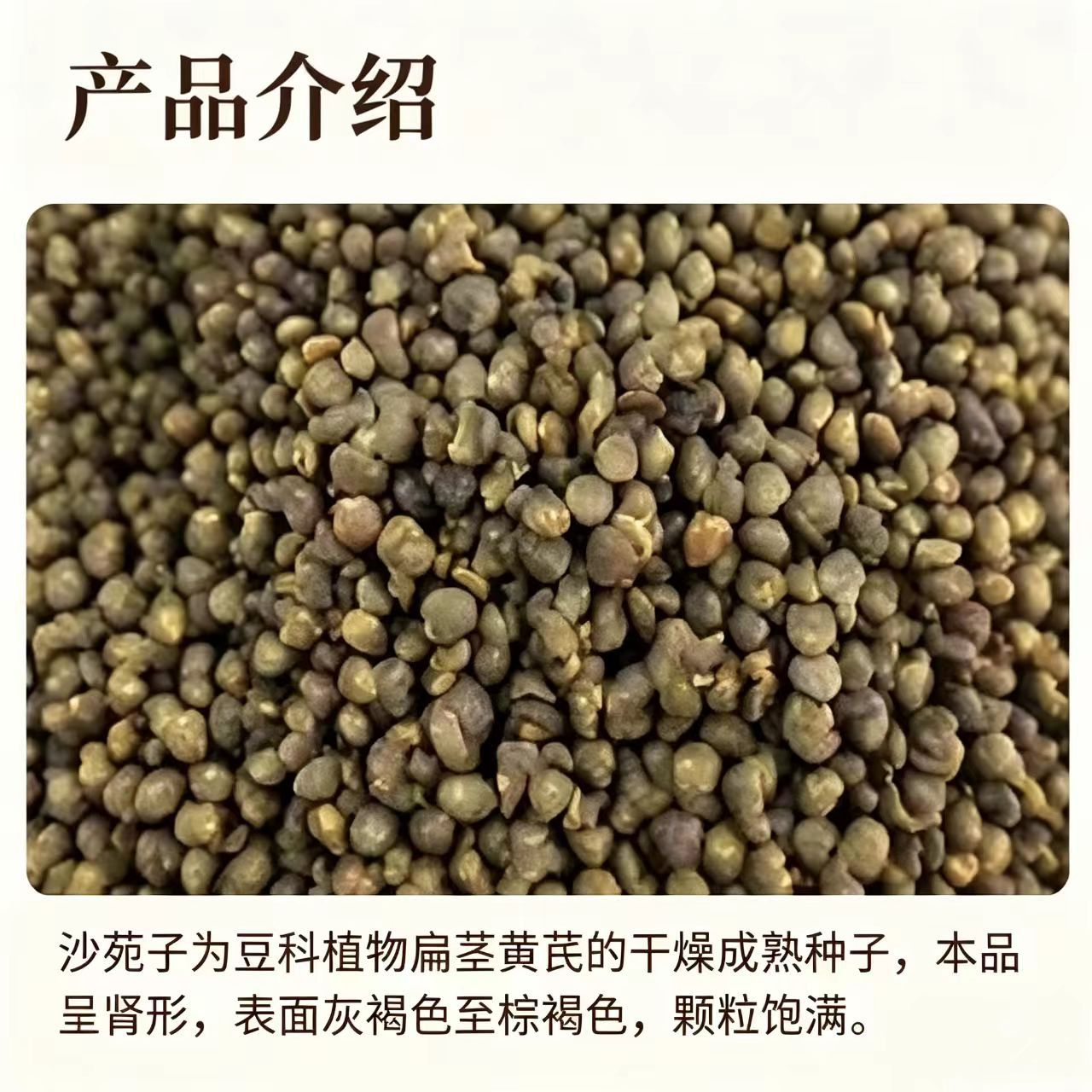 Sha Yuan Zi Dried Flatstem Milkvetch Seeds 1000g Bag Traditional Chinese Herb for Cooking and Decoction - Image 2
