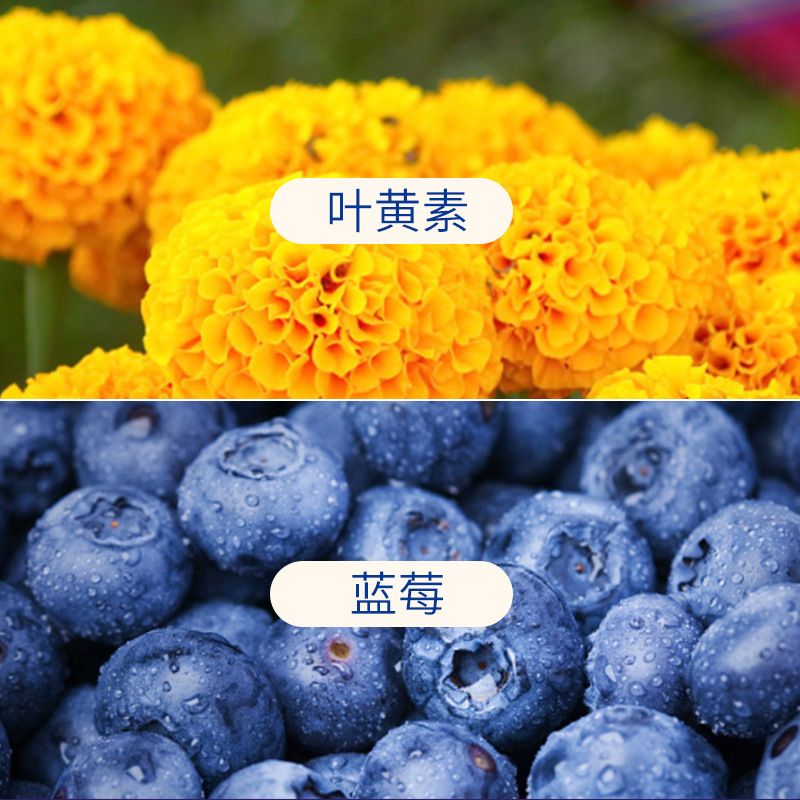 Blueberry Lutein Ester Vitamin C Juice Concentrate 300ml Fresh Pressed Daily Drink for Students Adults Seniors - Image 2