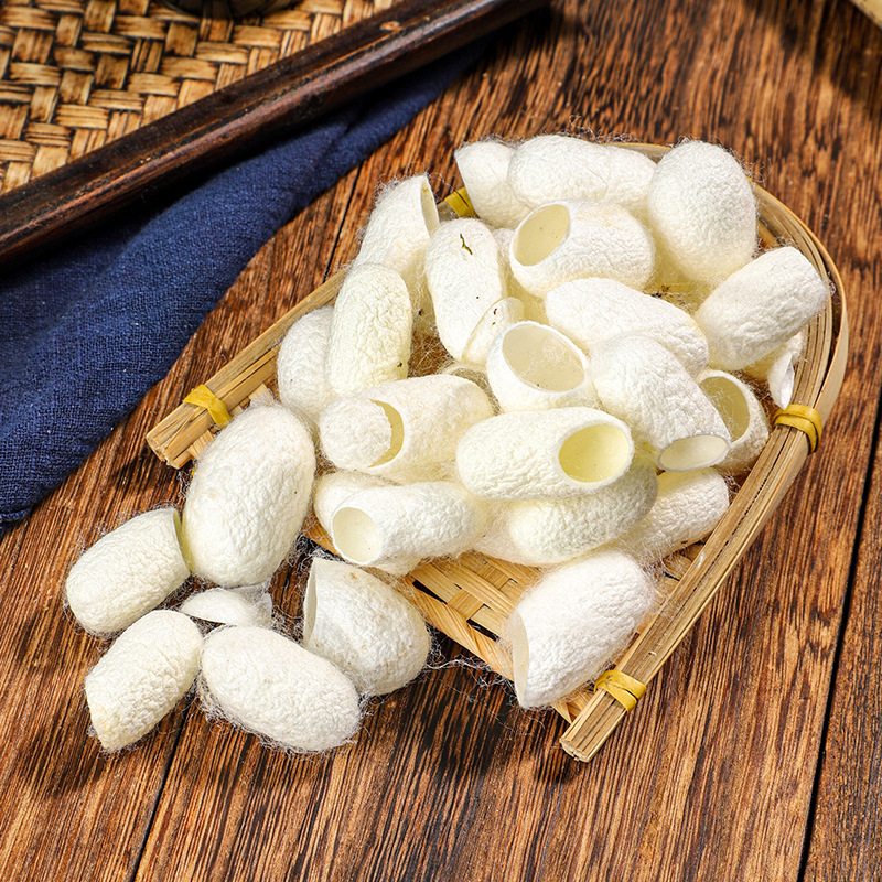 Silkworm Cocoon Shell (Bombyx mori) — Dried Cocoon Husks for Herbal & Beauty Use - Image 3