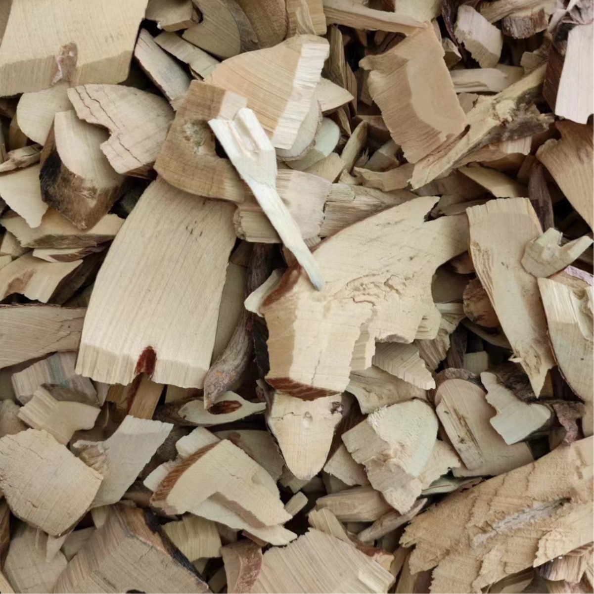 Chang Shan (Dichroa febrifuga) — Dried Chinese Herb Root, Ji Gu Chang Shan, 500g - Image 2