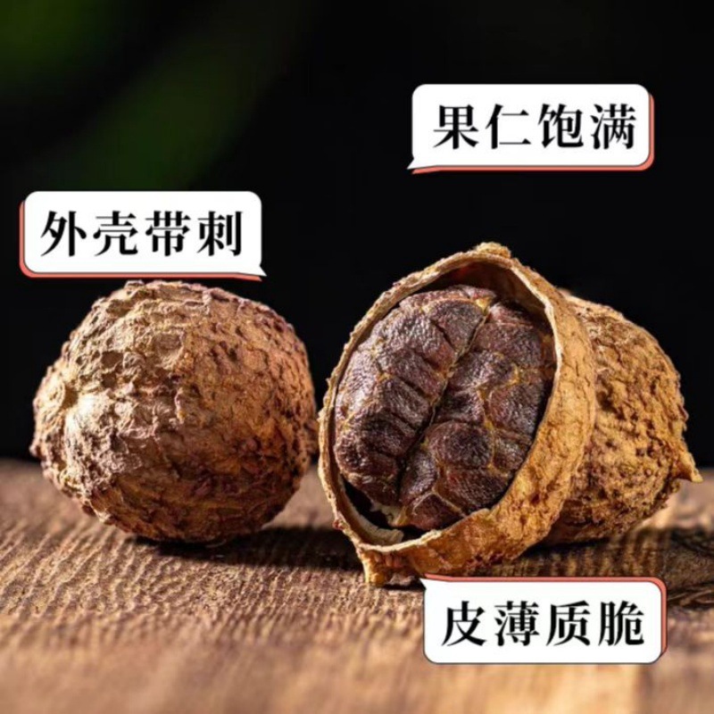 Sha Ren (Amomum villosum) Dried Fruit — Guangdong Grown Food-Herb Spice, 500g - Image 4