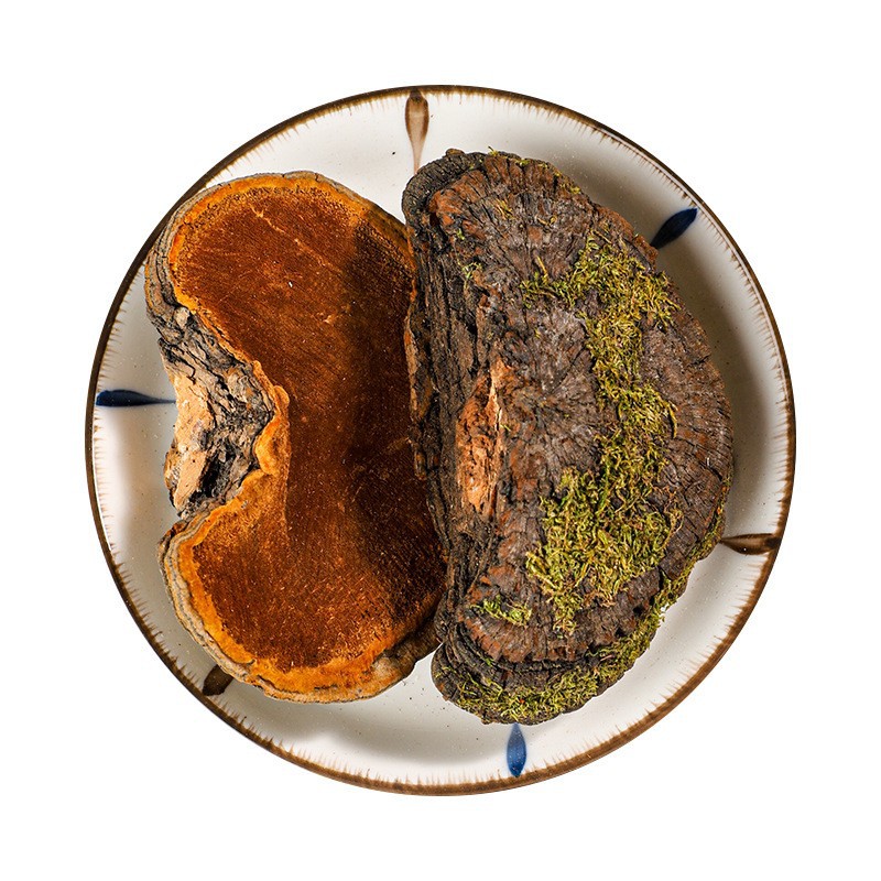 Sang Huang Phellinus Whole Dried Mushroom 500g Golden Rim Herbal Tea Ingredient - Image 5