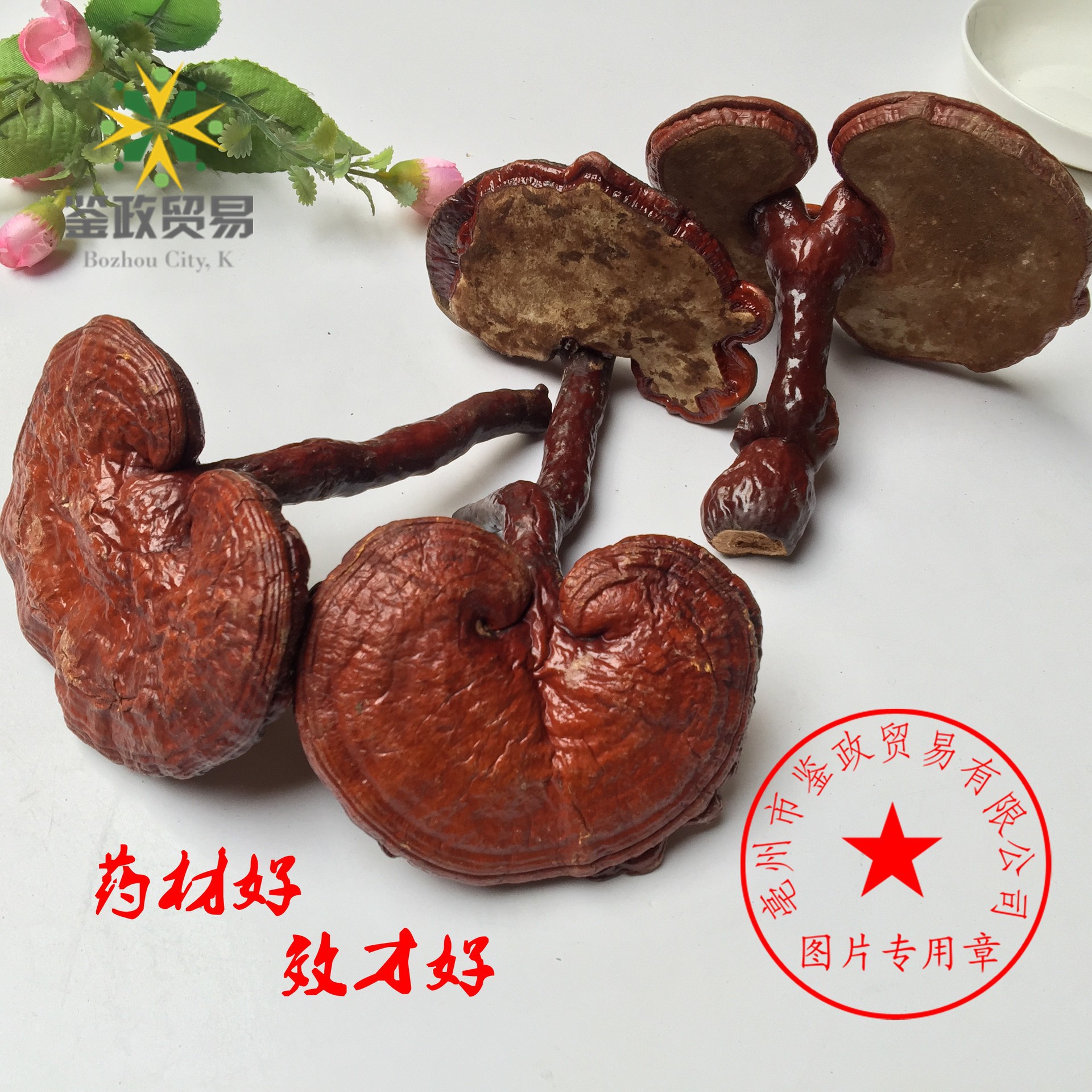 Dried Red Reishi Mushroom Whole Ling Zhi Ganoderma lucidum Traditional Herbal Tea and Decoction Herb 500g - Image 4