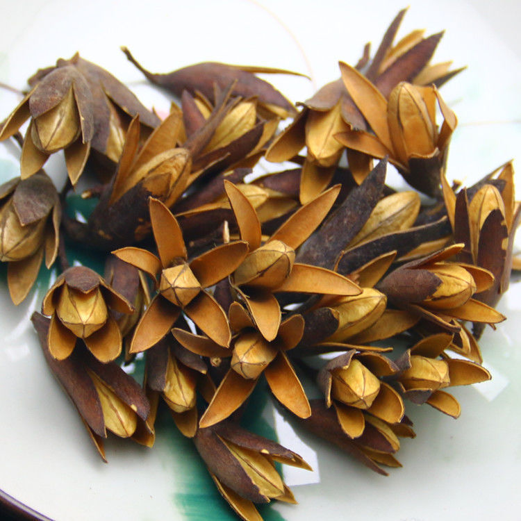 Chinese Toon Seeds Xiang Chun Zi Dried Toona Sinensis Fruit 50g Bottle Traditional Herbal Tea Ingredient - Image 3