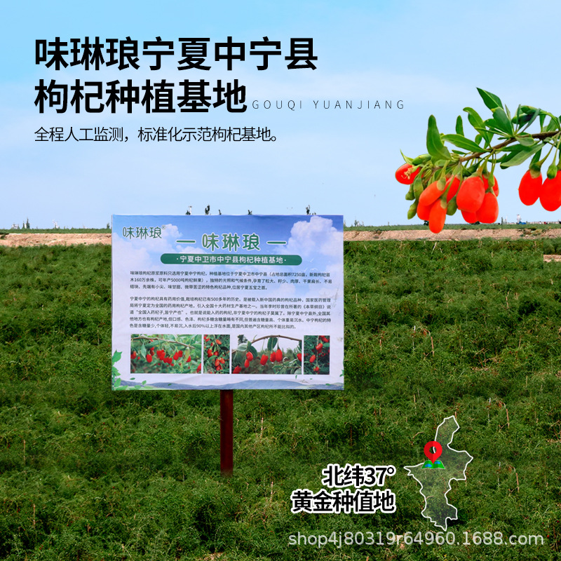Goji Berry NFC Juice Concentrate Ningxia Fresh Wolfberry Drink 500ml - Image 2