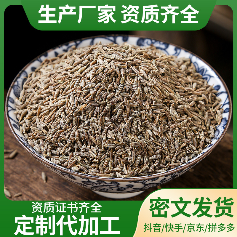 Cumin Seeds (Cuminum cyminum) — Dried Whole Spice for BBQ & Culinary Blends - Image 2