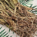 Jian Xue Qing (见血清) Dried Herbal Material — Traditional Chinese Herb, 500g - Image 2