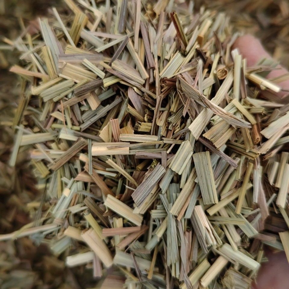 Lemongrass Powder (Cymbopogon citratus) — Dried Xiang Mao Cao Food Herb, 500g - Image 3
