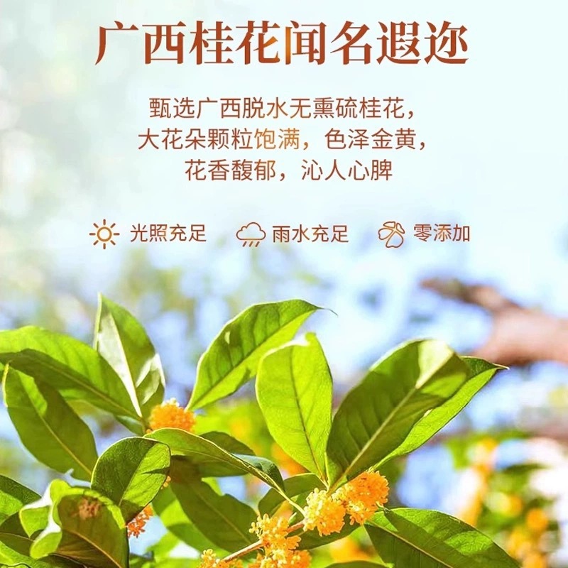 Osmanthus Longjing Tea Bags Gui Hua Long Jing 60 Pyramid Bags Cold Brew Office Wellness Tea 180g - Image 3
