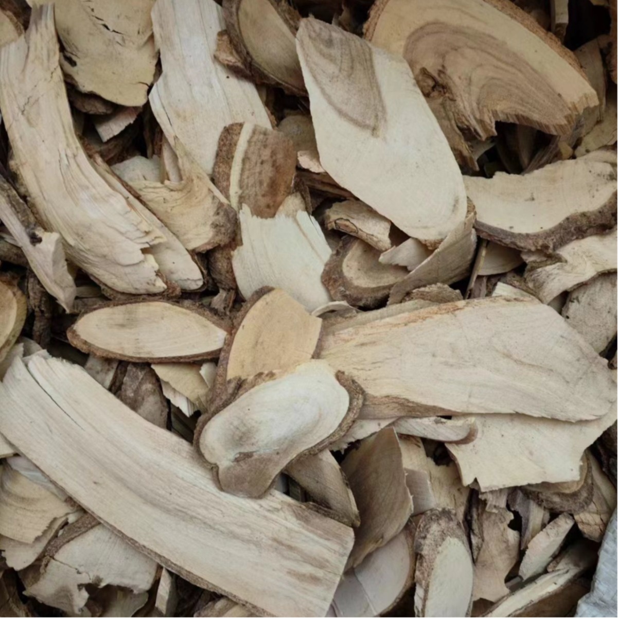Niao Bu Su (Ilex cornuta) — Dried Bitter Holly Root Bark, Traditional Chinese Herb 500g - Image 5
