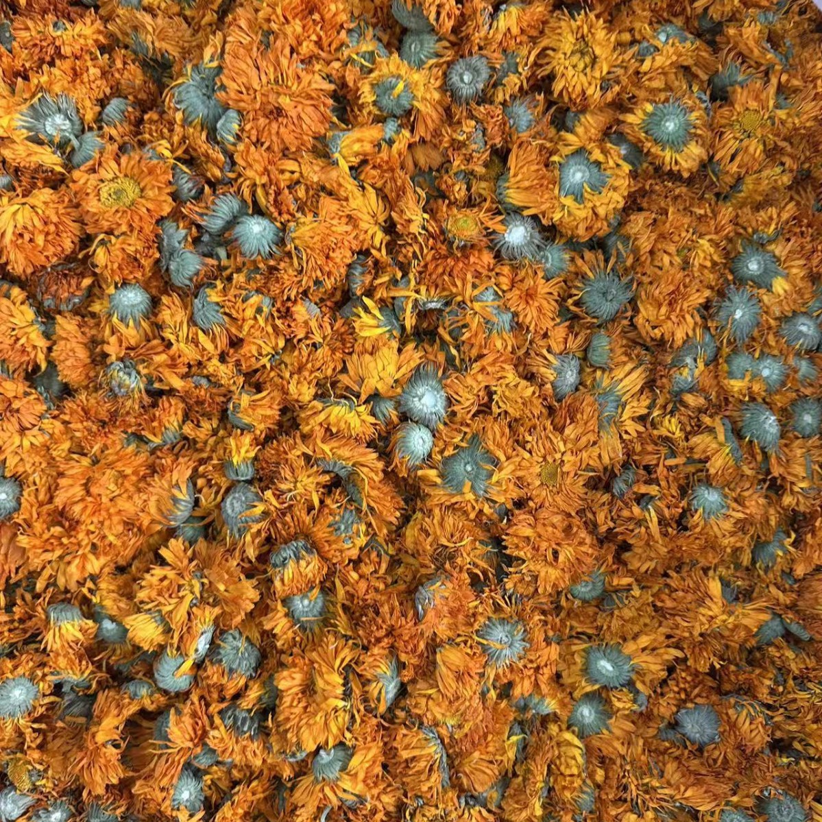 Calendula Dried Flowers (Calendula officinalis) — 500g Loose Pure Petals Herbal Tea - Image 4