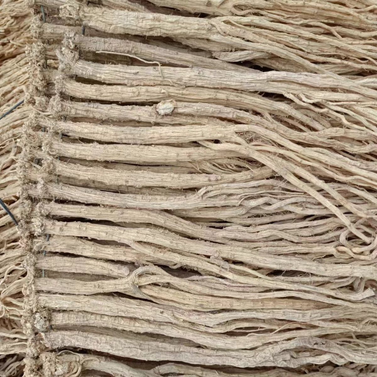 Dried Codonopsis Root Whole Dang Shen 500g for Tea and Soup - Image 3