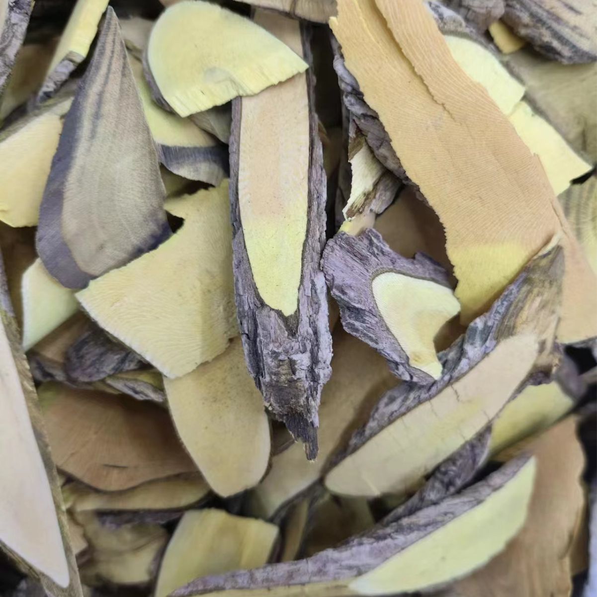 Gong Lao Mu (Mahonia bealei) — Dried Chinese Mahonia Stem for Herbal Decoction - Image 4