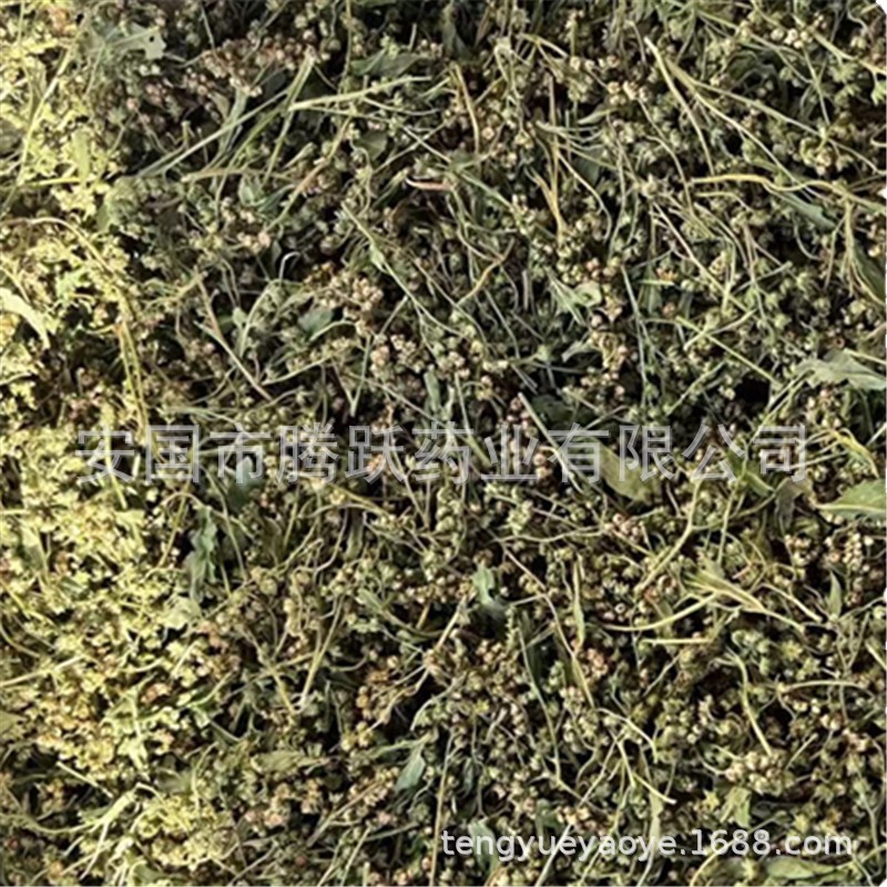 Gan Huang Cao Dried Penthorum chinense Herb Sichuan Whole Plant 500g Bag - Image 5