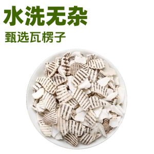 Wa Leng Zi (Concha Arcae) — Calcineered Clam Shell Powder, Sulfur-Free, 1000g