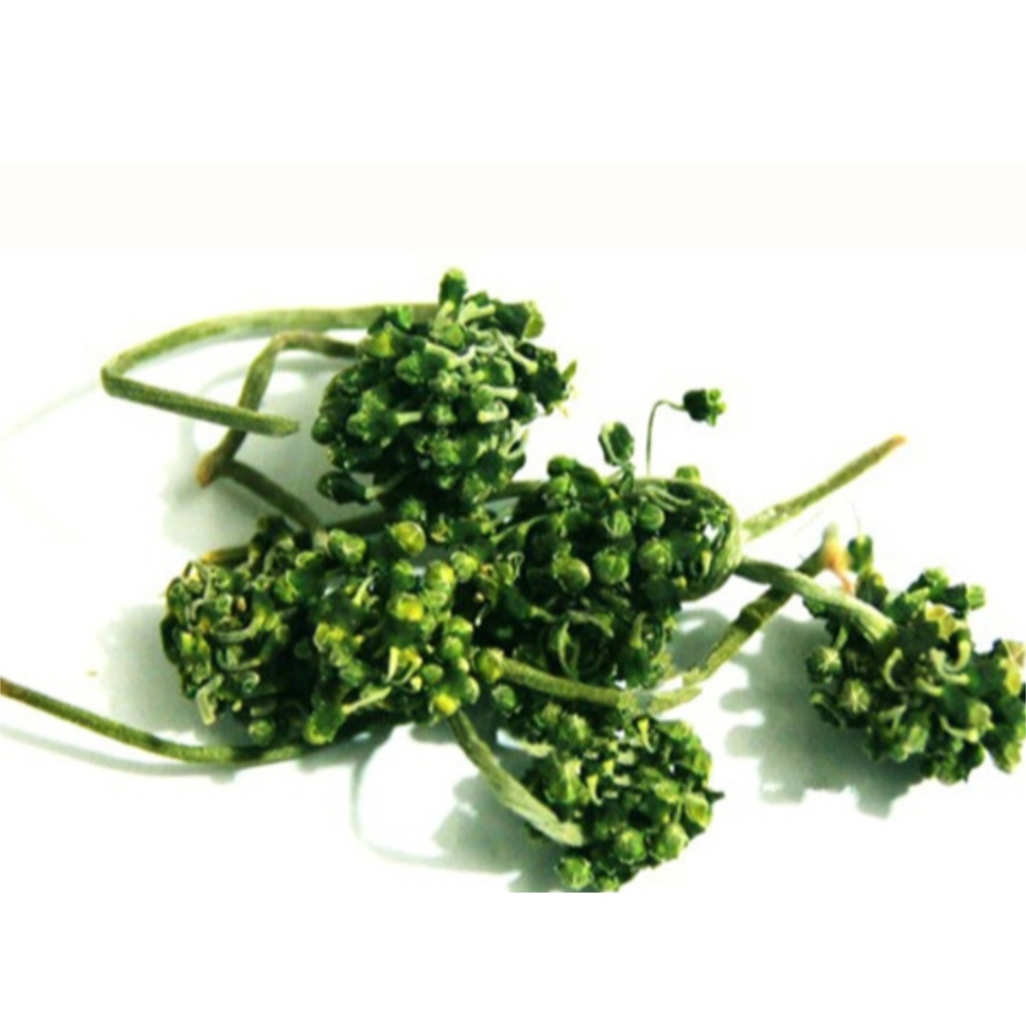 Dried Ginseng Flower Buds Ren Shen Hua 250g Sun Dried for Tea and Soup - Image 5