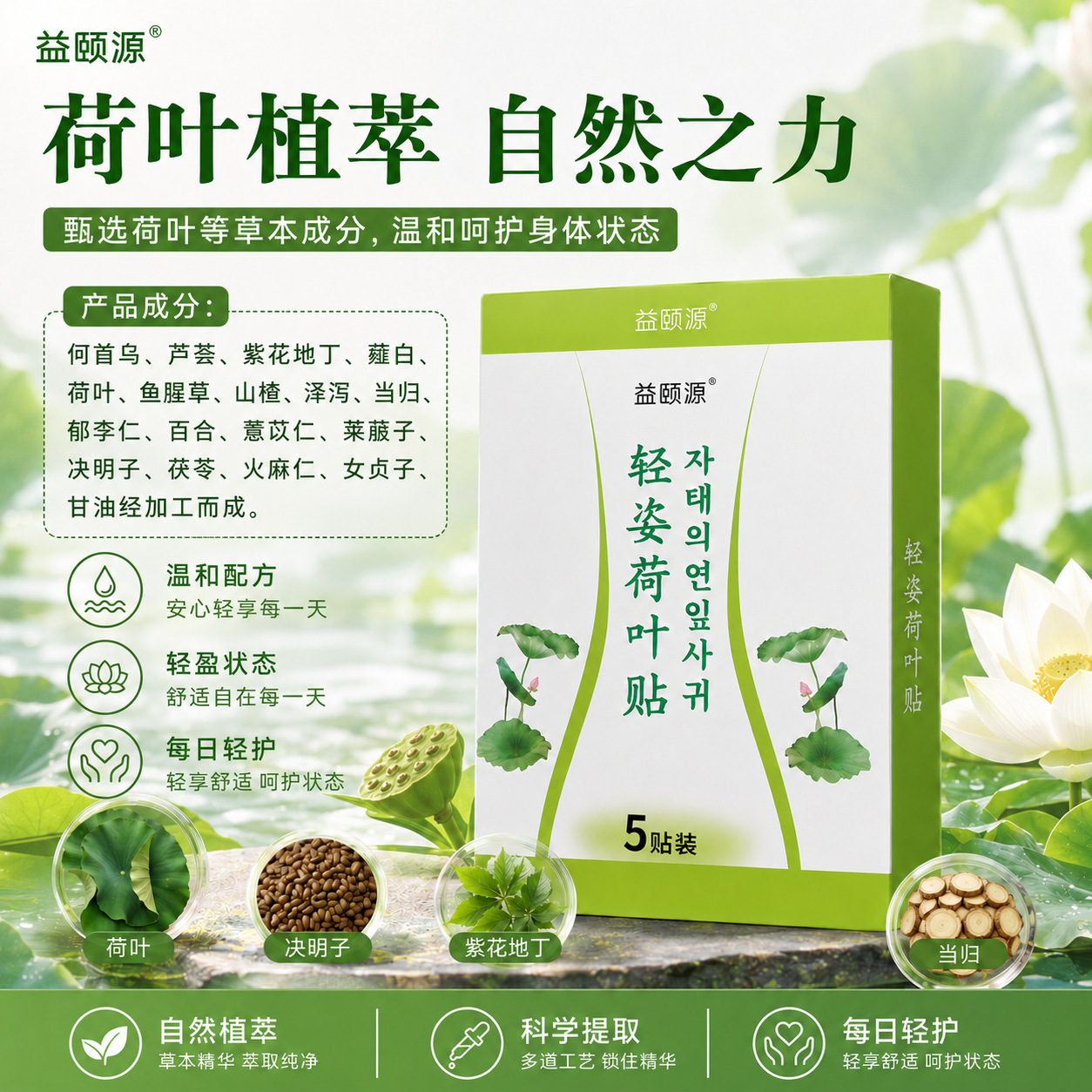 Lotus Leaf and Mugwort Navel Patch 5 Piece Pack External Herbal Body Patch for Wellness Massage - Image 3