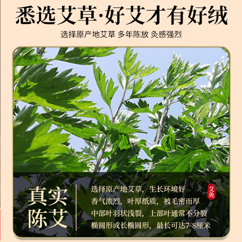 Aged Moxa Wool Ai Rong 60:1 Ratio 500g Loose Artemisia Argyi Floss for Moxibustion and Warm Therapy - Image 2