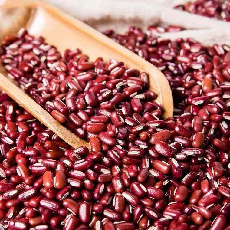 Adzuki Bean Chi Xiao Dou 250g Canister Dried Red Beans for Congee Soup and Sweet Bean Paste - Image 4