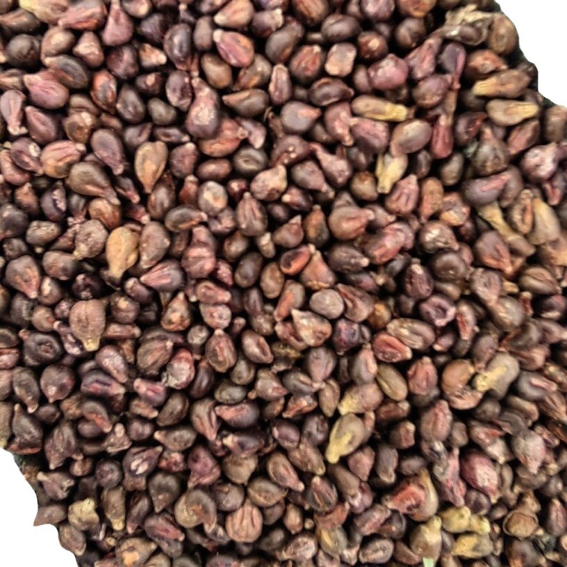Grape Seed Powder (Vitis vinifera) — Food-Herb Botanical Powder, 500g - Image 5