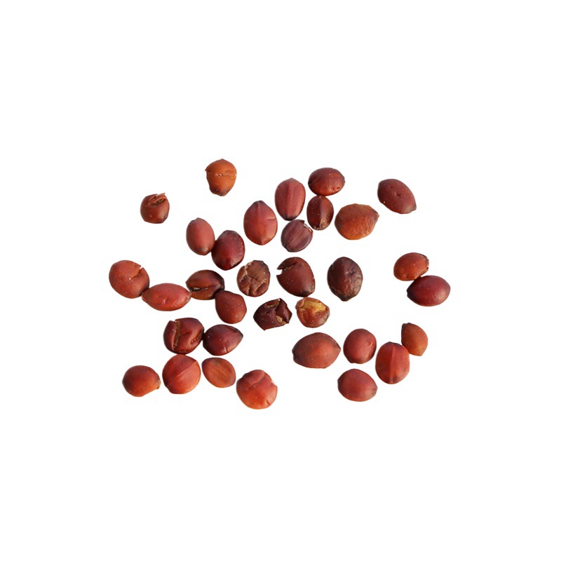 Sour Jujube Seed Suan Zao Ren 250g Dried Ziziphus Seeds for Herbal Tea and Decoction - Image 5