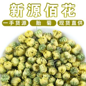 Tongxiang Tai Ju Bud Chrysanthemum (Chrysanthemum morifolium) — Dried Hangzhou White Chrysanthemum Flower Tea
