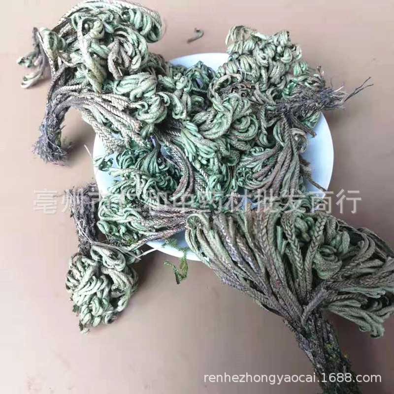 Dried Selaginella Juan Bai 500g Whole Herb Resurrection Grass Traditional TCM Botanical - Image 4