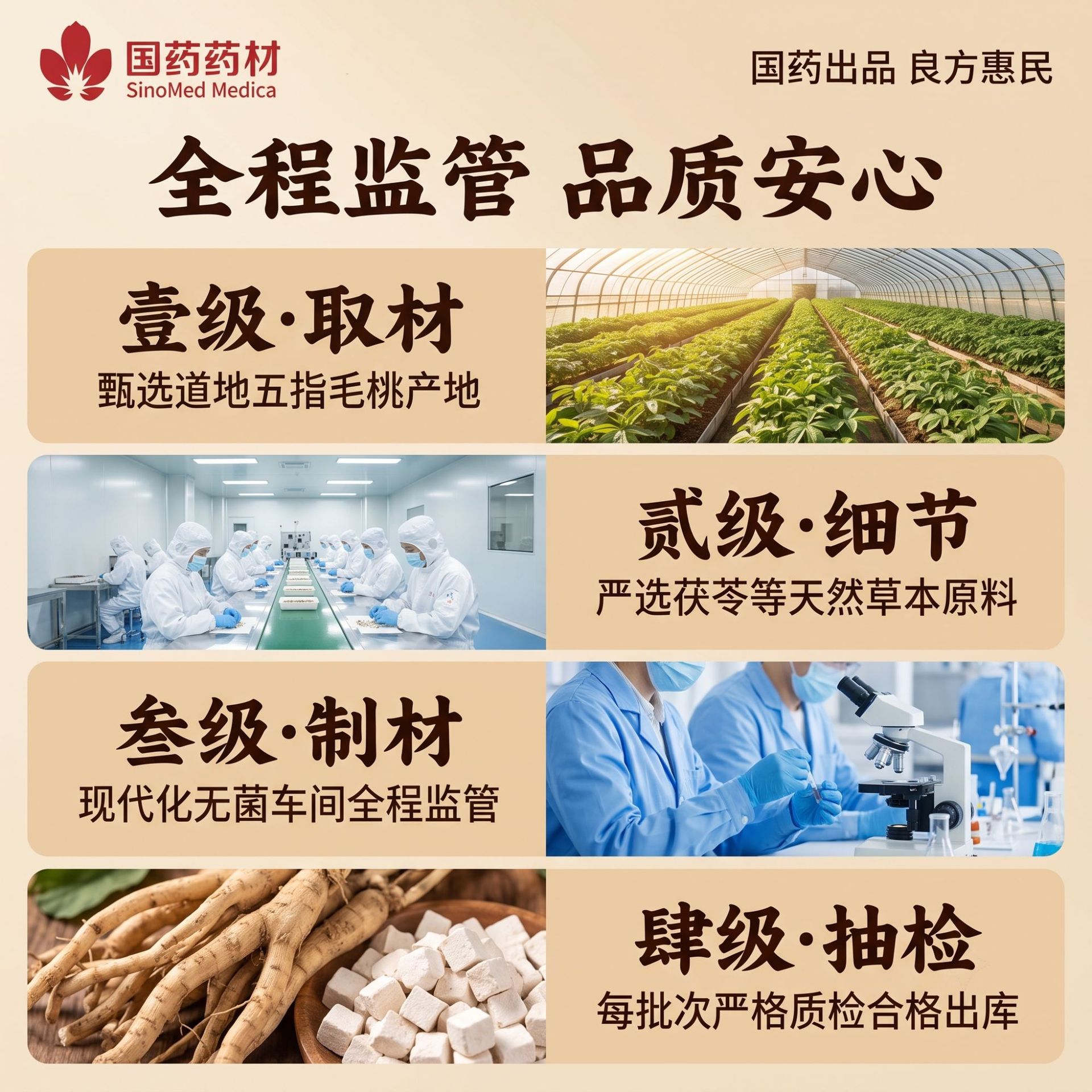 Wuzhi Maotao Fuling Herbal Tea 90g 10 Teabags Sugar Free Daily Wellness Brew - Image 2