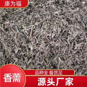 Xiang Ru Herb (Mosla chinensis) — Dried Food-Herb for Summer Tea & Decoction, 500g