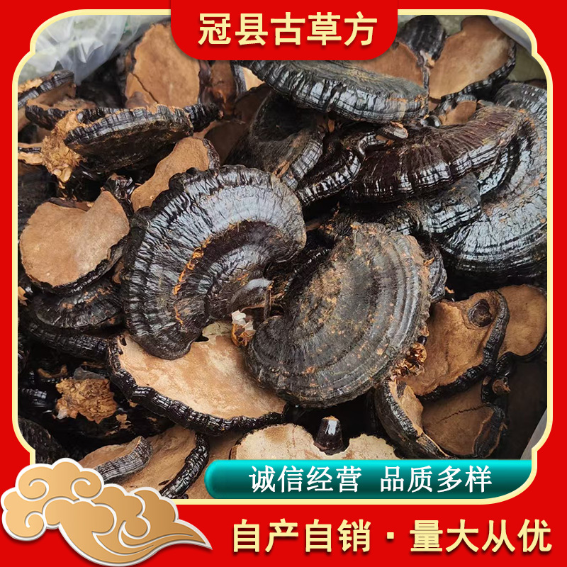 Black Reishi Mushroom Dried Slices Rich Mushroom Aroma for Tea Wine and Soup - Image 2