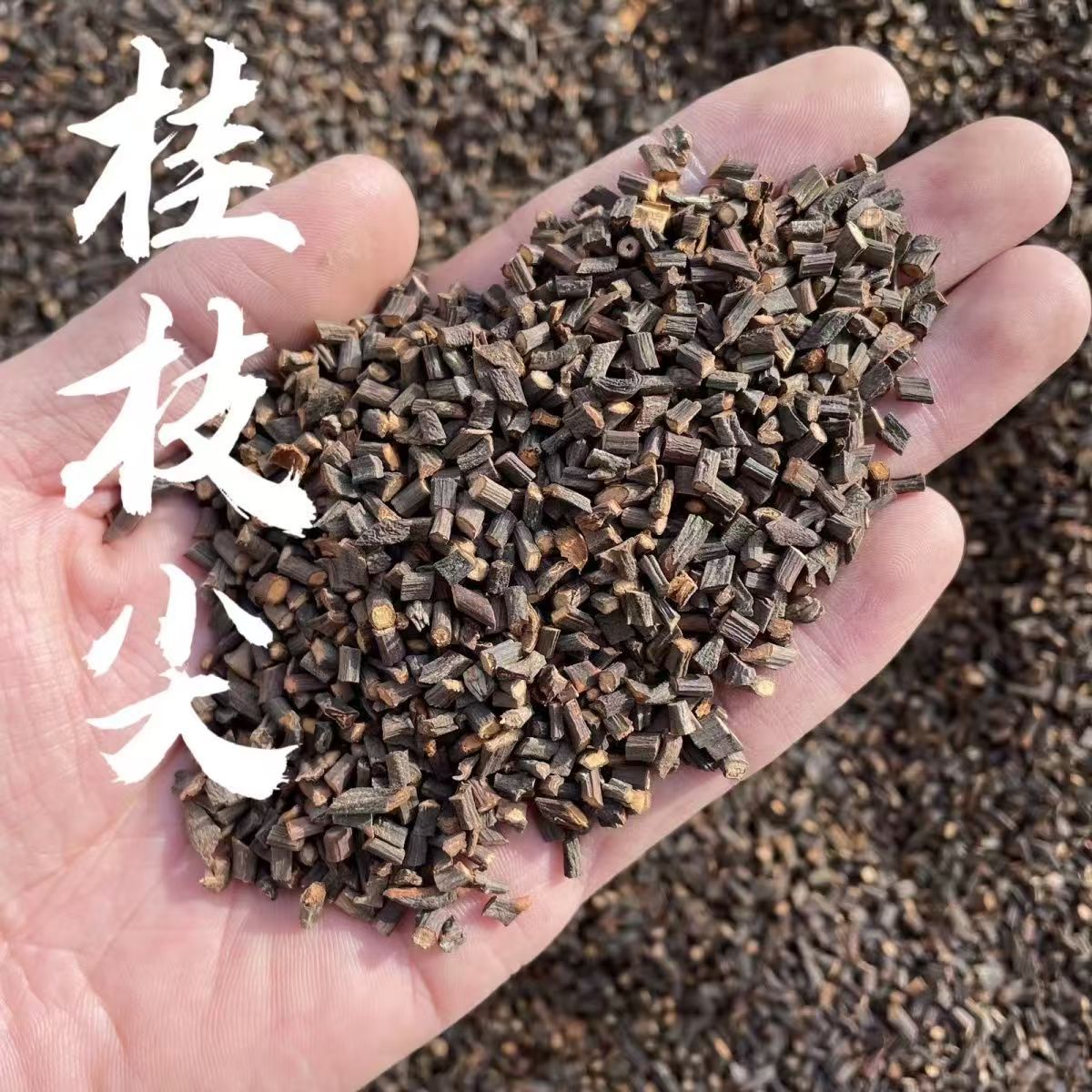 Gui Zhi Cassia Twig Dried Herb Tips 500g Powder Ready Culinary TCM Herb - Image 2