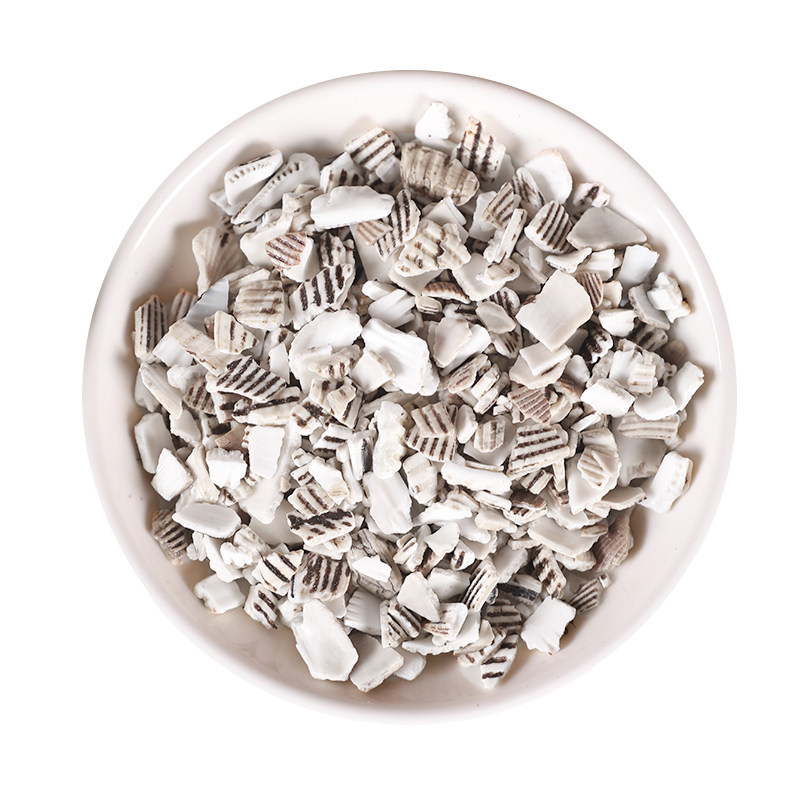 Dried Arca Shell Waleng Zi 500g Traditional Chinese Herbal Sea Shell Slices - Image 5