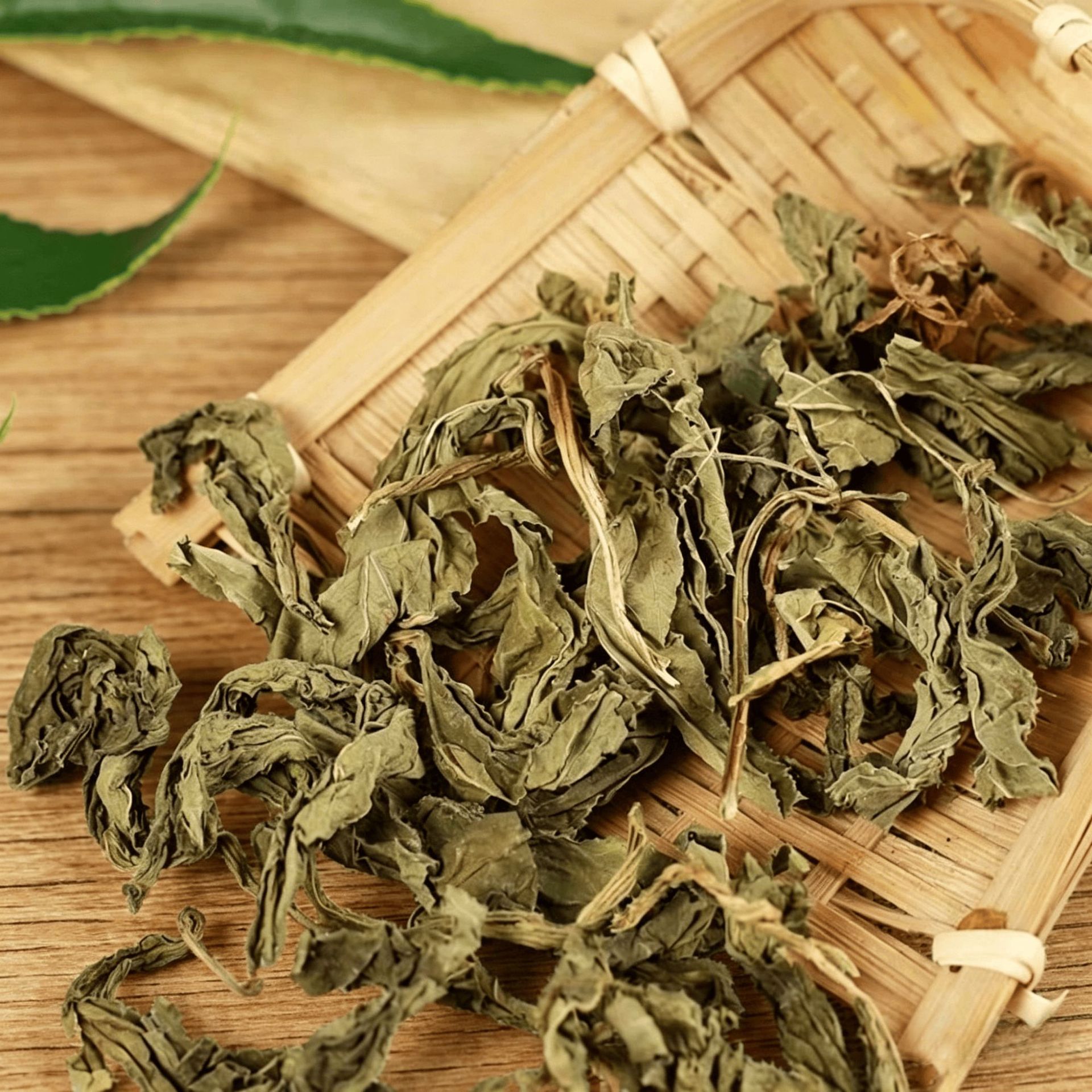 Ling Xiang Cao Dried Lysimachia Foenum Graecum Herb 500g Traditional Chinese Aromatic Herb for Tea and Decoction - Image 3