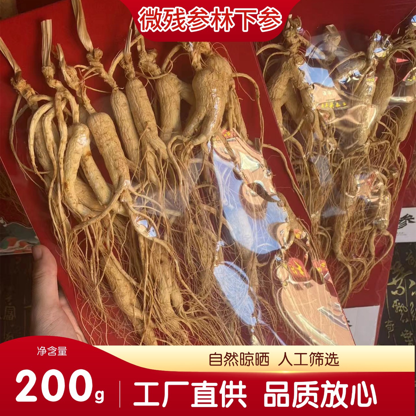 Wild-Simulated Ginseng Slightly Imperfect Roots 200g Dried for Cooking and Decoction - Image 2