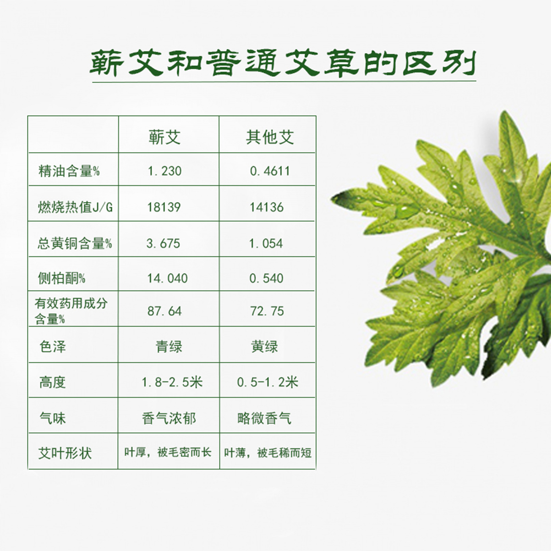 Premium Qichun Mugwort Thunder Fire Moxa Stick 8cm Thickened Aged Moxa for Body Moxibustion - Image 4
