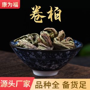 Juan Bai (Selaginella tamariscina) — Dried Resurrection Fern Herb, 500g