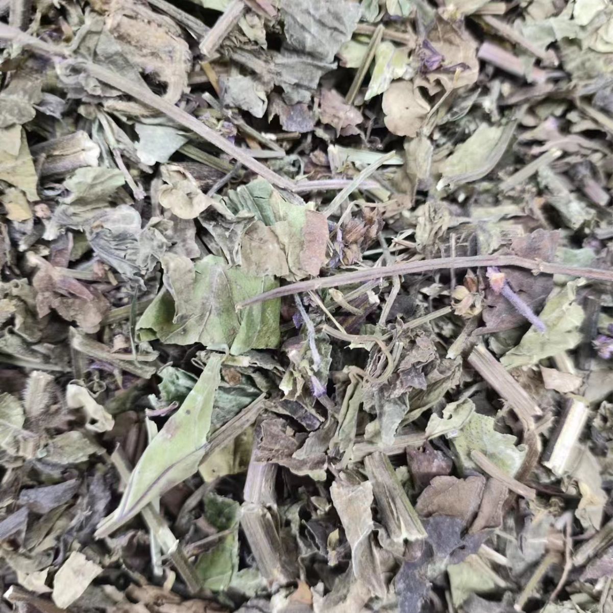 Shi Jian Chuan (Salvia chinensis) — Dried Chinese Herb for Traditional Decoctions - Image 4