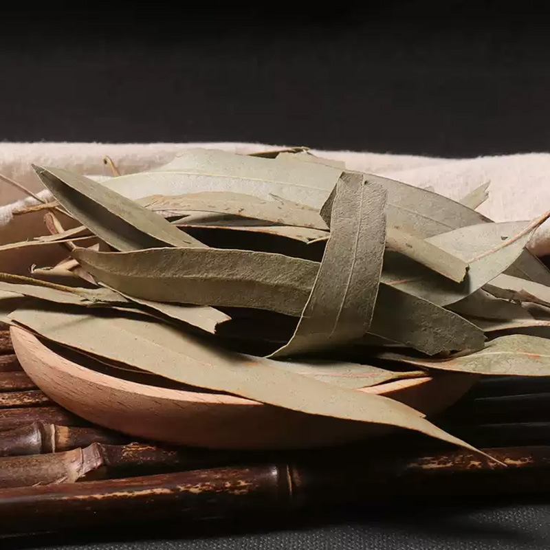 Eucalyptus Leaves (Eucalyptus globulus) — Dried Herbal Leaf for Tea, Steam & Soak - Image 2