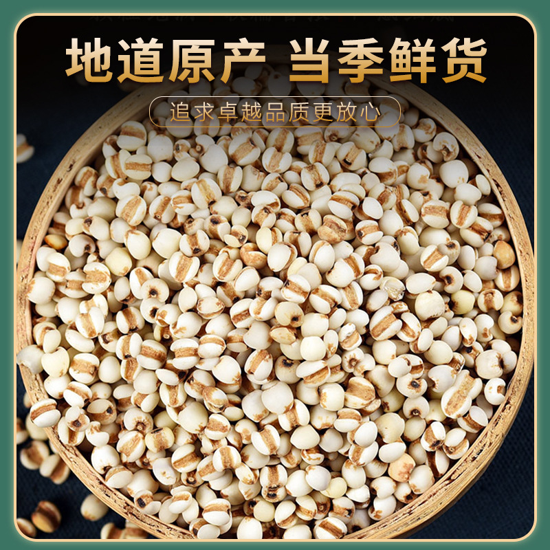 Coix Seed Yi Yi Ren 500g Dried Job's Tears Whole Grain Guizhou New Crop for Cooking and Herbal Soup - Image 3