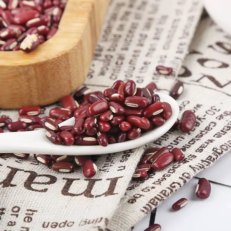 Adzuki Bean Chi Xiao Dou 500g Dried Vigna angularis Whole Beans for Soup Congee and Herbal Blends - Image 4