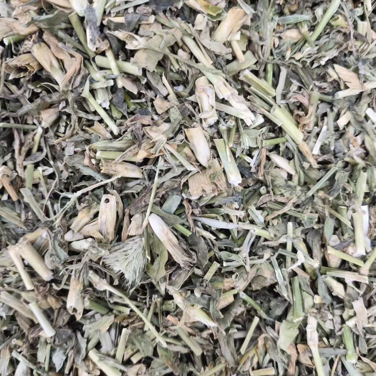 Qu Mai (Dianthus superbus) — Dried Chinese Herbal Flower for Tea & Decoction - Image 3