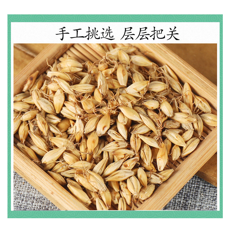 Dried Fried Malt Sprouted Barley Mai Ya 500g Traditional Herbal Tea for Digestive Support - Image 3
