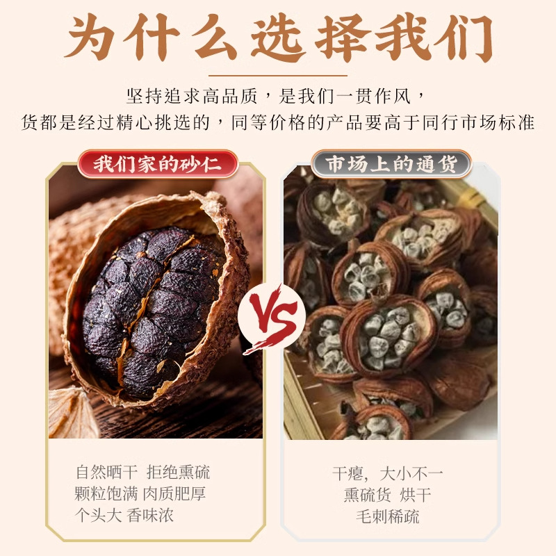 Chun Sha Ren Amomum Fruit 500g Dried Yangchun Amomum villosum Traditional Chinese Herb for Cooking and Decoction - Image 4