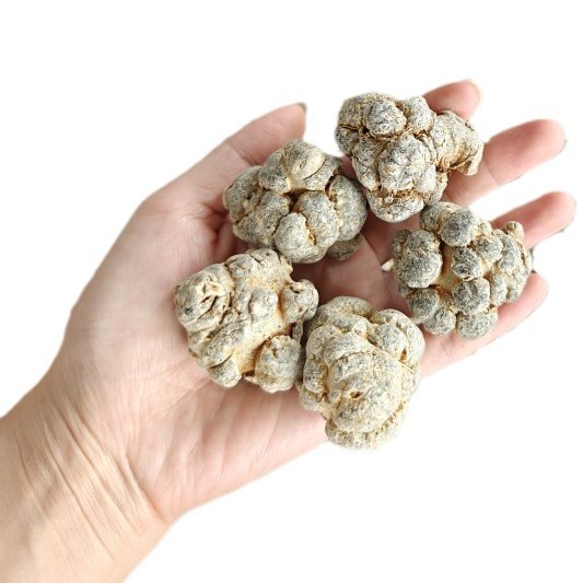 San Qi Notoginseng Root Whole Dried Tian Qi 500g for Soup and Decoction - Image 5