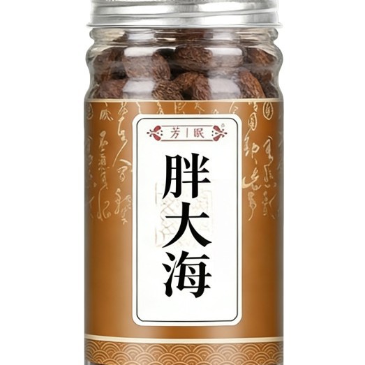 Fat Sea Seed Pang Da Hai Dried Herbal Fruit 50g Jar for Traditional Throat Tea - Image 5