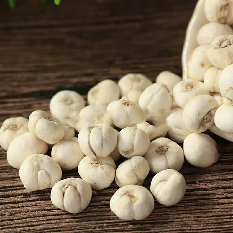 Fritillaria Bulb Bei Mu 贝母 Dried Chinese Herbal Bulbs 50g Bag Traditional Decoction Herb - Image 2