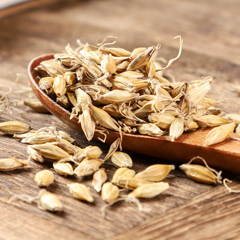 Malt (Hordeum vulgare) — Dried Food-Herb Grain for Tea, Soup & Congee - Image 4