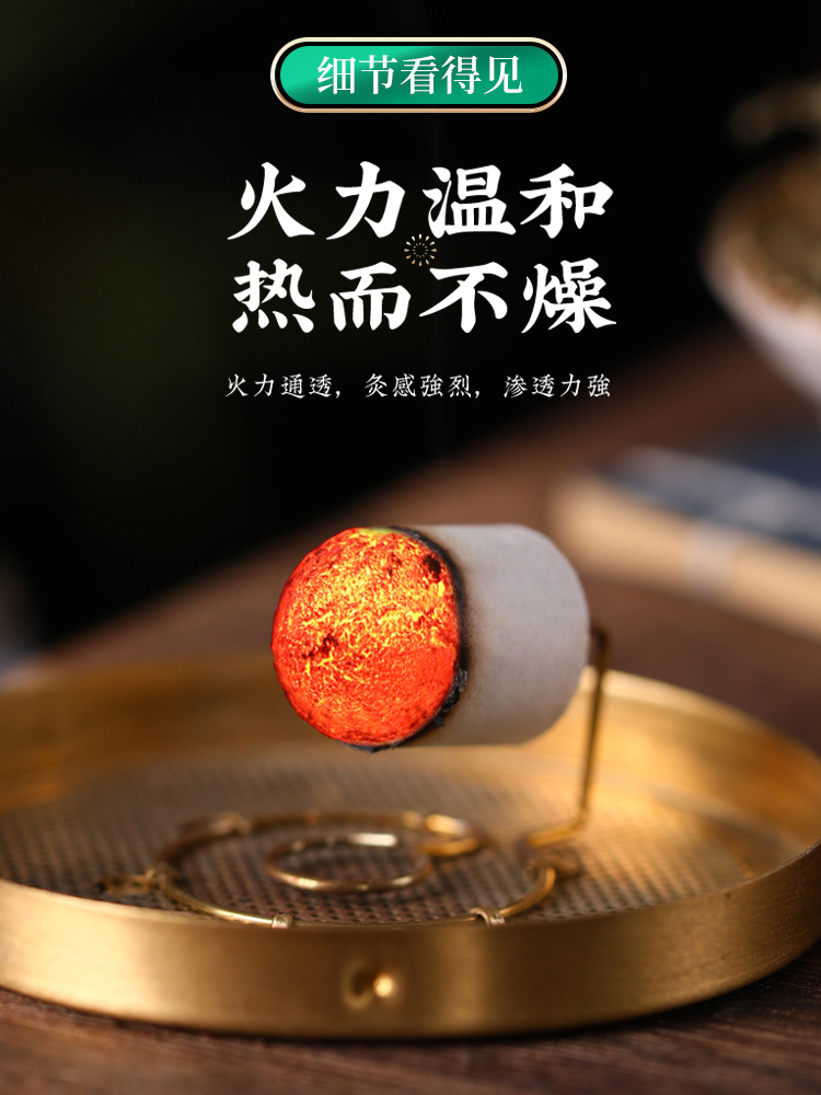 Moxa Sticks Ai Zhu 艾柱 Pure Mugwort Moxibustion Rolls 1.8x2.7cm 5 Boxes Home Use - Image 2