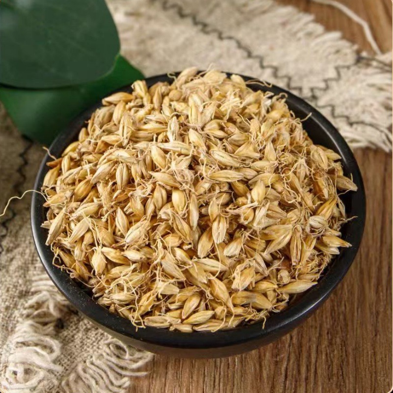 Malt (Hordeum vulgare) — Dried Food-Herb Barley Sprout, 500g - Image 4